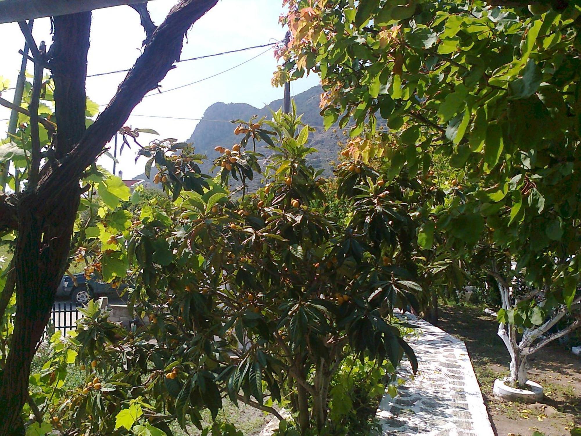 迪奥尼西亚一室公寓 克法洛斯 外观 照片