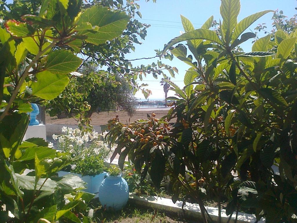 迪奥尼西亚一室公寓 克法洛斯 外观 照片